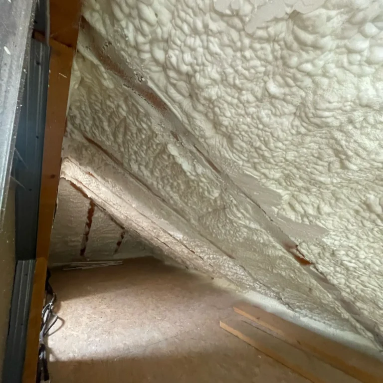 6c9ba68f-1ba3-49bb-b6be-9bfe90bc4b3c